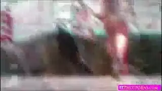 قريب حمار بلا مأوى