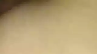 مكبل مجعد مشعر