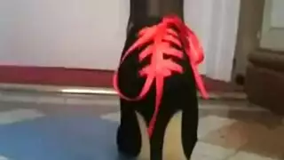 عبادة صنم البلغارية