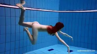 الشرج مزدوج حوض السباحة مصلح