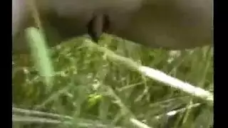 شاب بنك افريقيا في الغابة